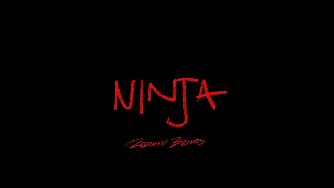 2115_-_ninja
