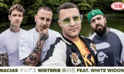 Macias, White Widow - WISTERIE