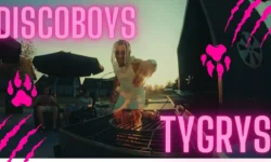 DiscoBoys - Tygrys