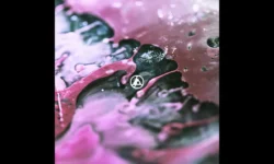 Linkin Park - Heavy Is the Crown