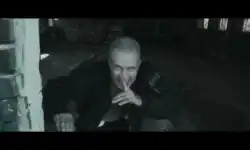 FLORAL BUGS - Zachodzi słońce