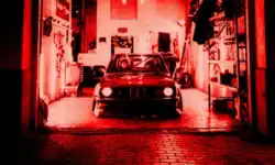 kuban - młody gandolfini