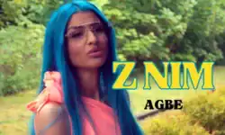 AGBE - Z Nim