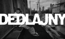 TEDE - DEDLAJNY