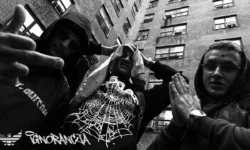 Bary, vkie, Macias - IGNORANCJA