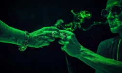 Kali - Przyjacielu Mój