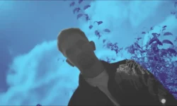 Lunaria - Miłość uBoga